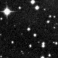 2024wzq_image