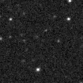 2024xfm_image