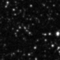 2024xim_image