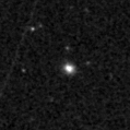 2024xlm_image