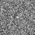 2024xlq_image