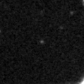 2024xlr_image