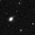 2024xmp_image