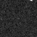 2024xnp_image