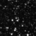 2024xpx_image