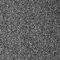 2024xtk_image