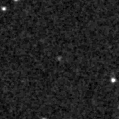 2024xxp_image