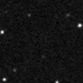 2024xzd_image