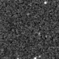 2024ybs_image