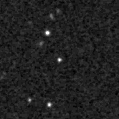 2024ydi_image