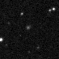 2024ydm_image