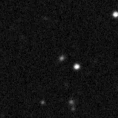 2024ydt_image