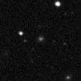 2024ygm_image