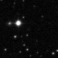 2024ygp_image