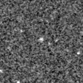 2024yjw_image
