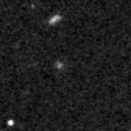2024ylj_image
