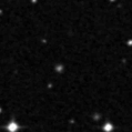 2024ylp_image