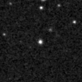 2024ynk_image