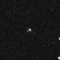 2024ynx_image