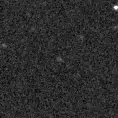 2024yoq_image