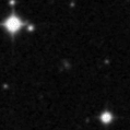 2024ypi_image