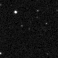 2024ypo_image