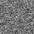 2024yqg_image