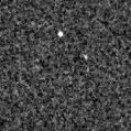 2024yro_image