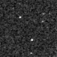 2024ywi_image