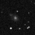 2024ywj_image