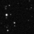 2024zag_image