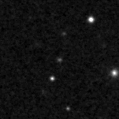 2024zaw_image