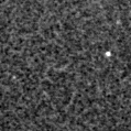 2024zax_image