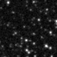 2024zbg_image