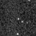 2024zbq_image