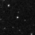 2024zcf_image