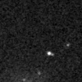 2024zdl_image