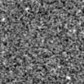2024zfk_image
