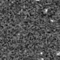2024zfx_image
