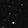 2024zgf_image