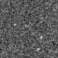 2024zgj_image