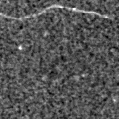 2024zgn_image