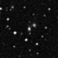 2024zgv_image