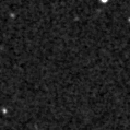 2024zie_image