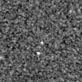 2024zif_image
