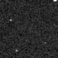 2024zjj_image