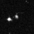 2024zld_image