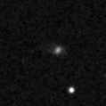 2024zlf_image