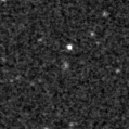 2024zlg_image