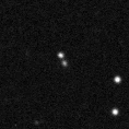 2024znr_image
